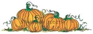 N-26 Pumpkin Border